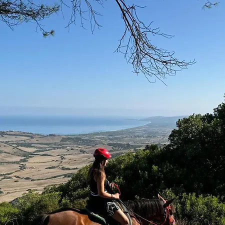 Oro Διαμέρισμα Sedini
